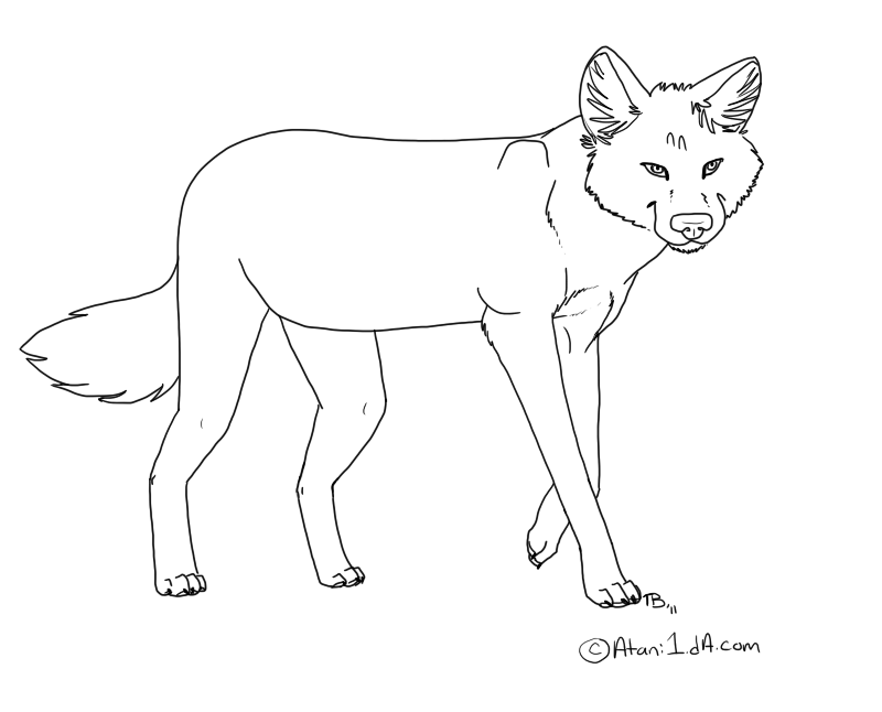 cane rosso dhole